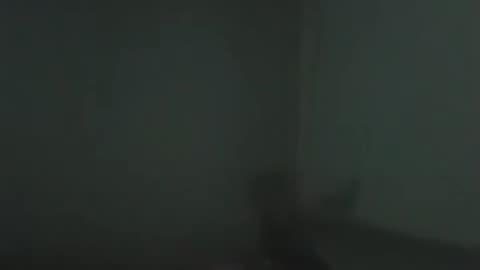 Jews crying: Karma