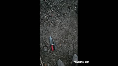 Metal Detecting