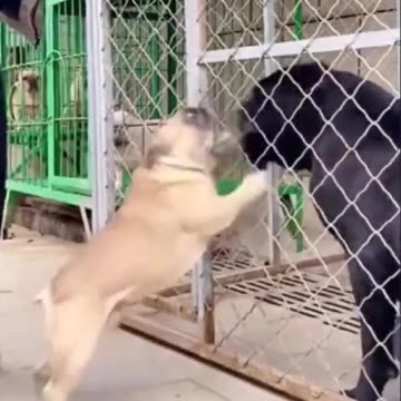 Bro was waiting for this moment for a long time. 😂😂😂