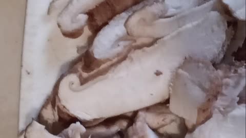 Miracle Blade 3 Knife Performance Shitake Mushroom