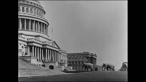 The Public Domain Race – A Fun Look at Free Classic Movies