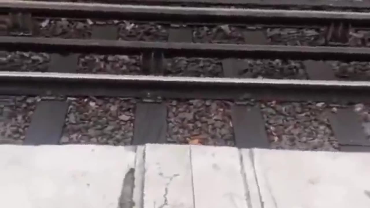 This is Paris. Doctor or engineer?