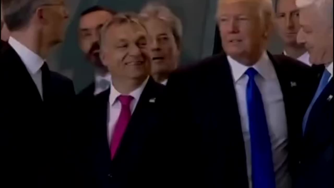 Donald Trump Is biggest Whale in Trading world