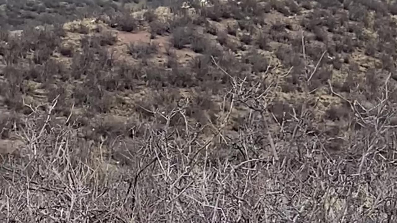 View from a foothills ridge