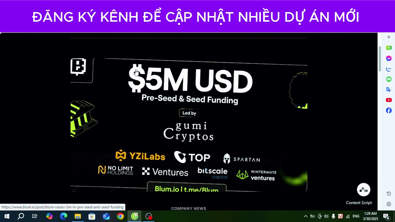 Blum Cập Nhật Airdrop: 3 Điều Kiện Airdrop, TGE Vào Q2, List Sàn Q3, Cập Nhật Gmail #blum #paws