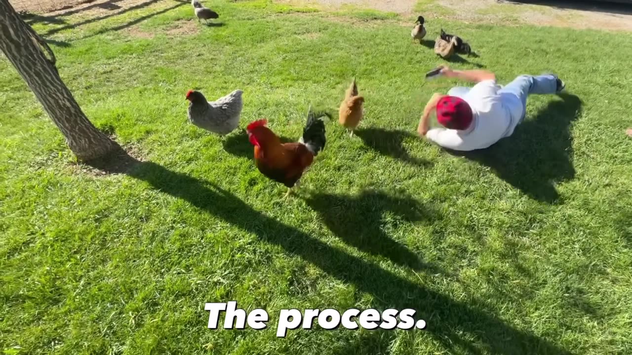 UTAH MAN LOSES HIS MIND OVER A CAMERA - First Amendment Audit (1080p)