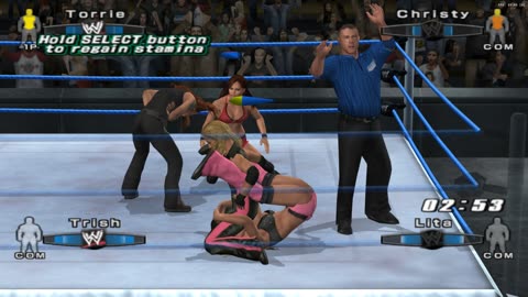 WWE SmackDown vs. Raw 2007