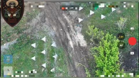 Ukrainians Destroy Pair of Russian Drones Along the Border Laying in Wait