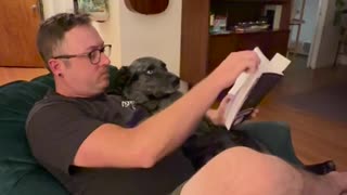 🤯📚 My Dog Likes to Get Lost in a Book! | FunFM
