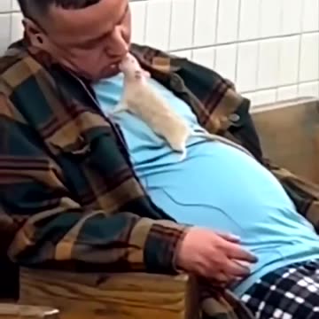 A typical day in the NYC subway