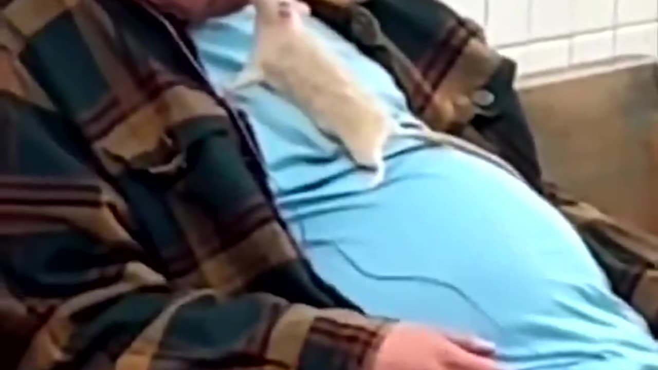 A typical day in the NYC subway