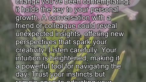 Daily Horoscope | Scorpio & Libra 🌟