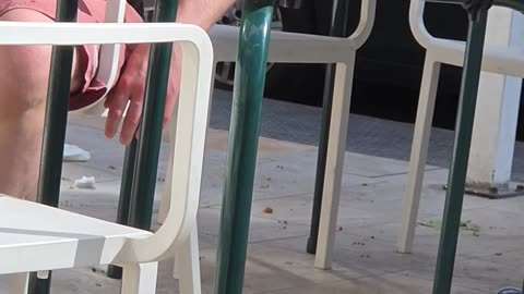 Drunk Man Trying to Pick Up Phone