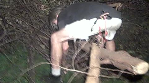 CHARLES MANSON PULLING TREE_S ON THE SHEA SHOW