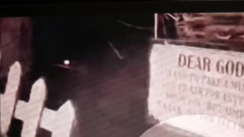 Ring camera captures alien creature?