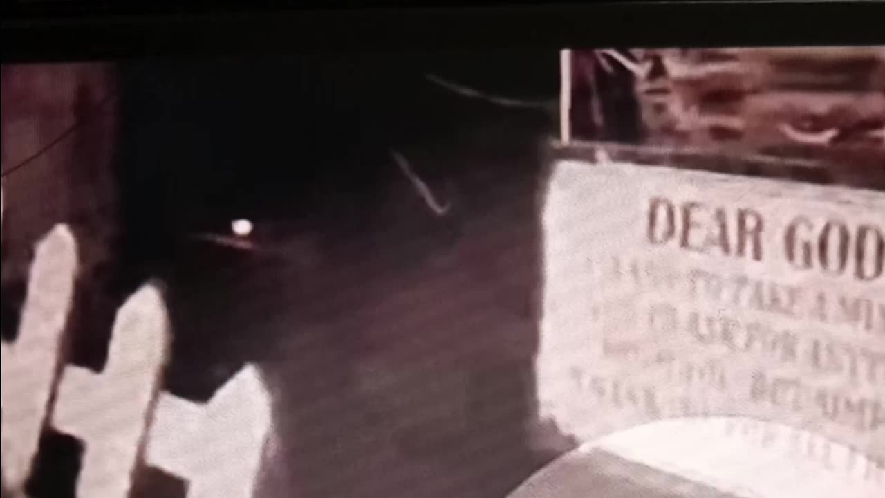 Ring camera captures alien creature?