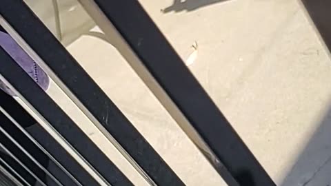 A Automatic door opener