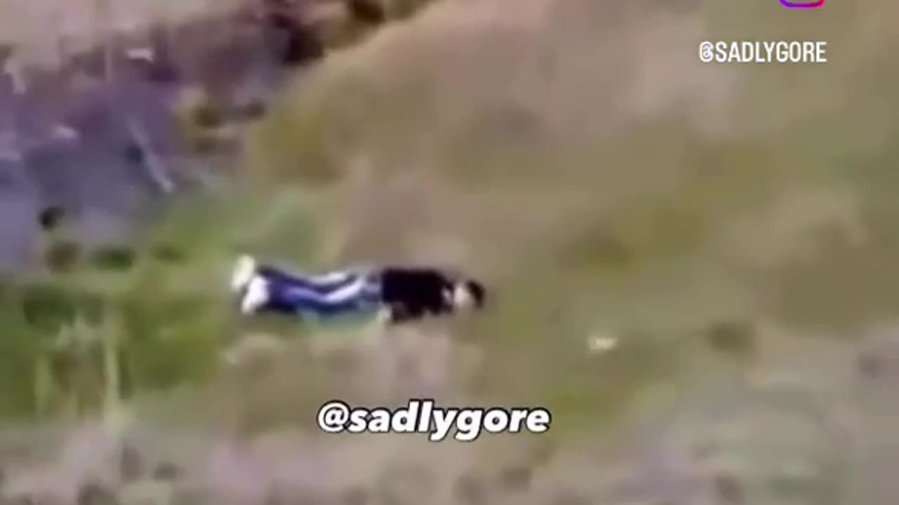 😂🌊 Wait For The Epic Branch Throw Fail! | FunFM