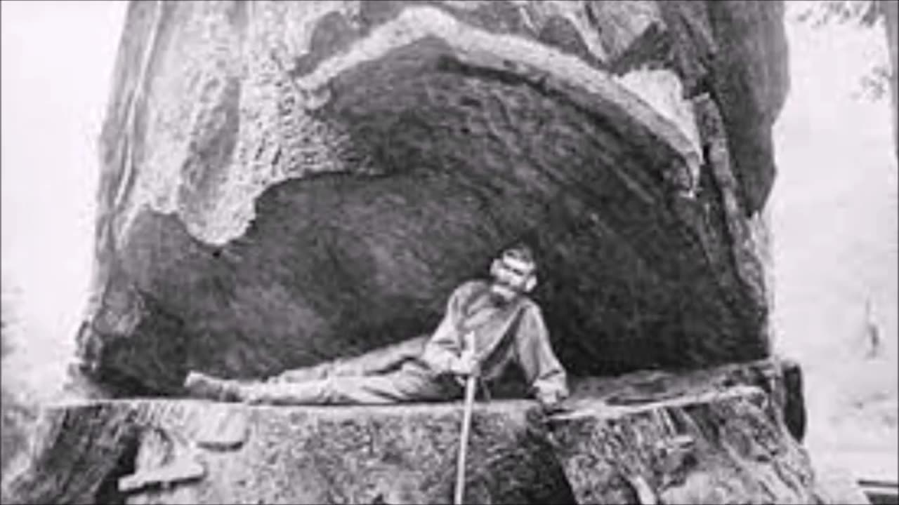 The Lumberjacks Of California 1850 - Giant Trees Erased From Mind