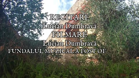 George Bacovia - La Țărm