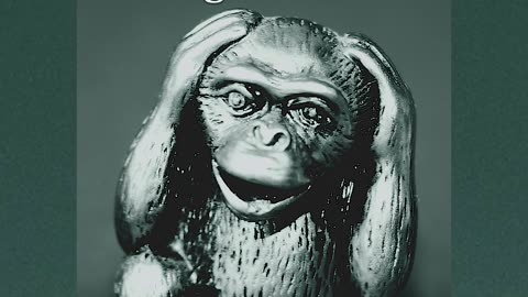 What Can Three Monkeys and Confucius Teach Us About Social Media? 🇺🇸🐒