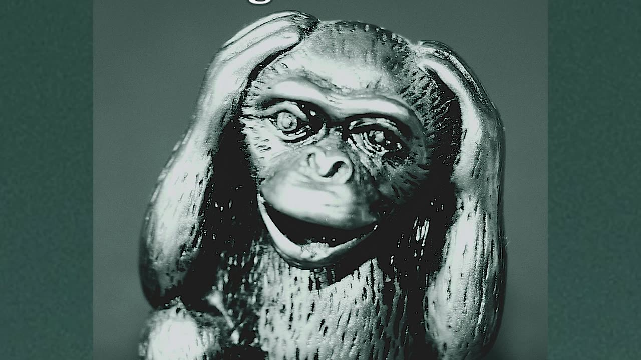 What Can Three Monkeys and Confucius Teach Us About Social Media? πΊπΈπ