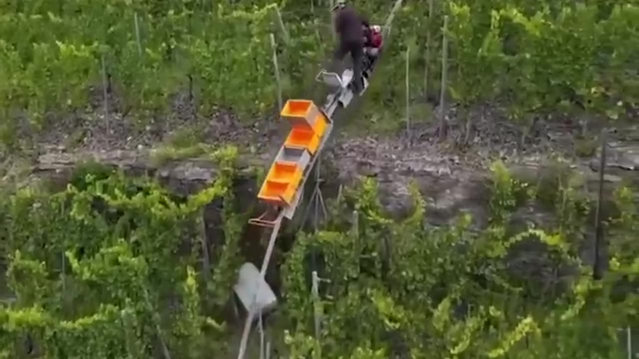 Most Satisfying Factory Machines and Ingenious tools