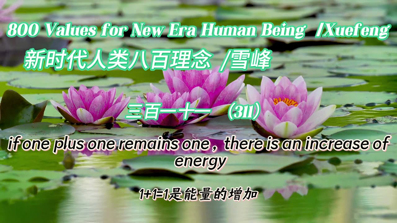 800 Values for New Era Human Being（311）
