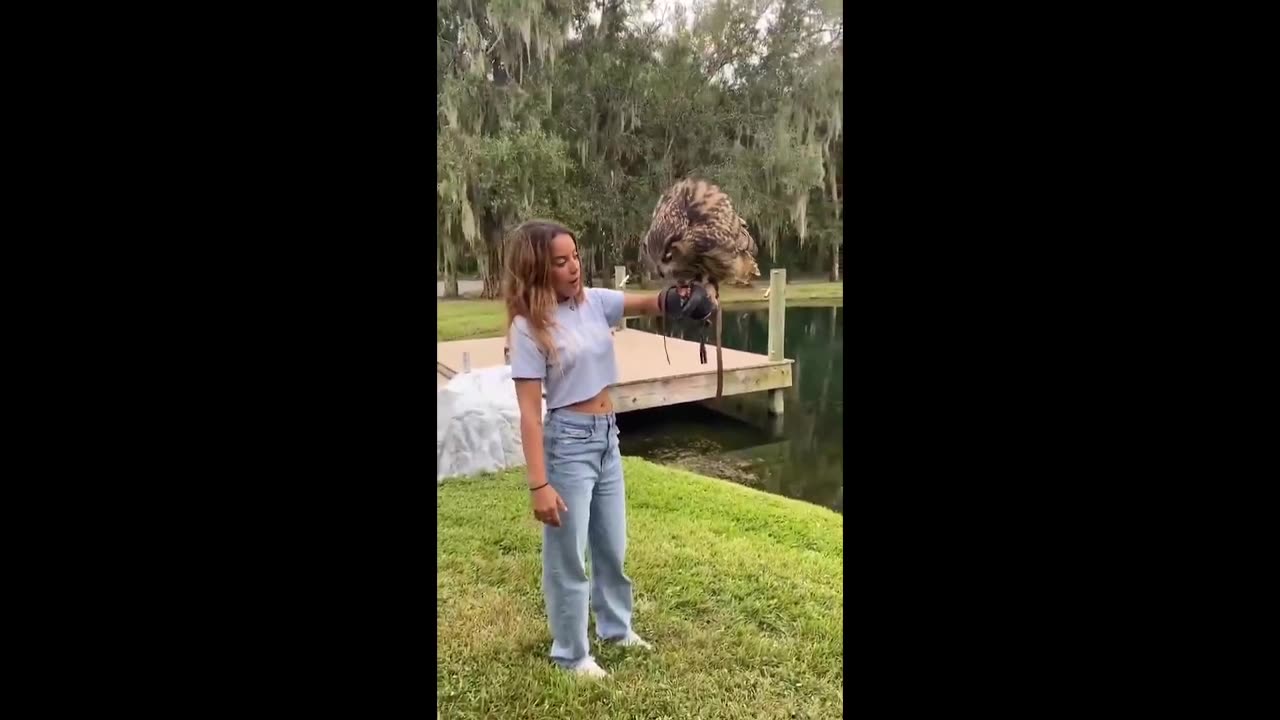 Daddy Goat 24/7 - Out Of Context Memes & Videos
