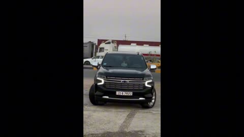 Echo Mind – thoughts made of rhythm.