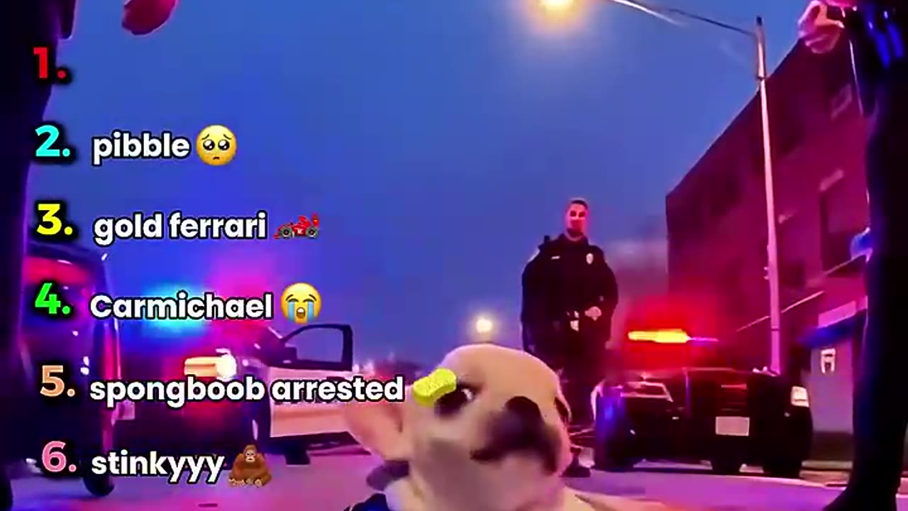 RANKING FUNNY SOR AI VIDEOS