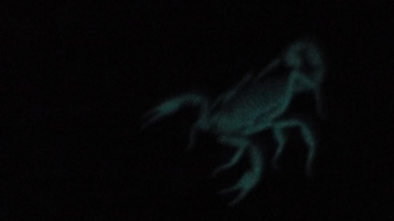 Glow in the dark scorpion yet again