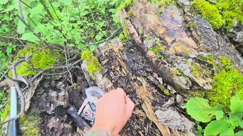 Next Time_ Adapt and Learn to Achieve a Goal #mushrooms #livingoffgrid