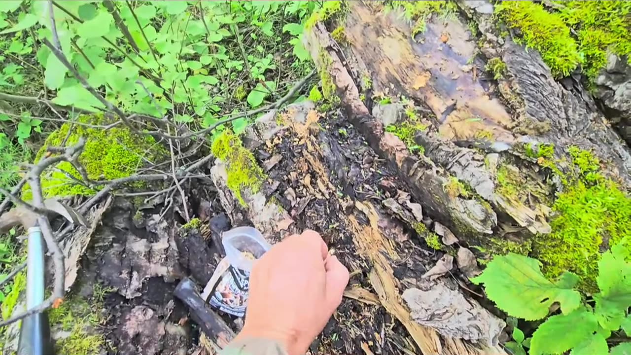 Next Time_ Adapt and Learn to Achieve a Goal #mushrooms #livingoffgrid