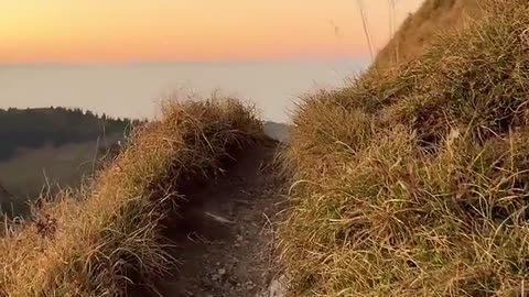 Sunset Immersive hike