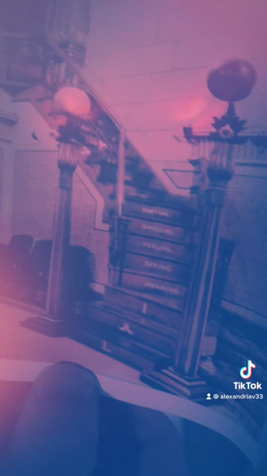 Tim Rifat TikTok Videos