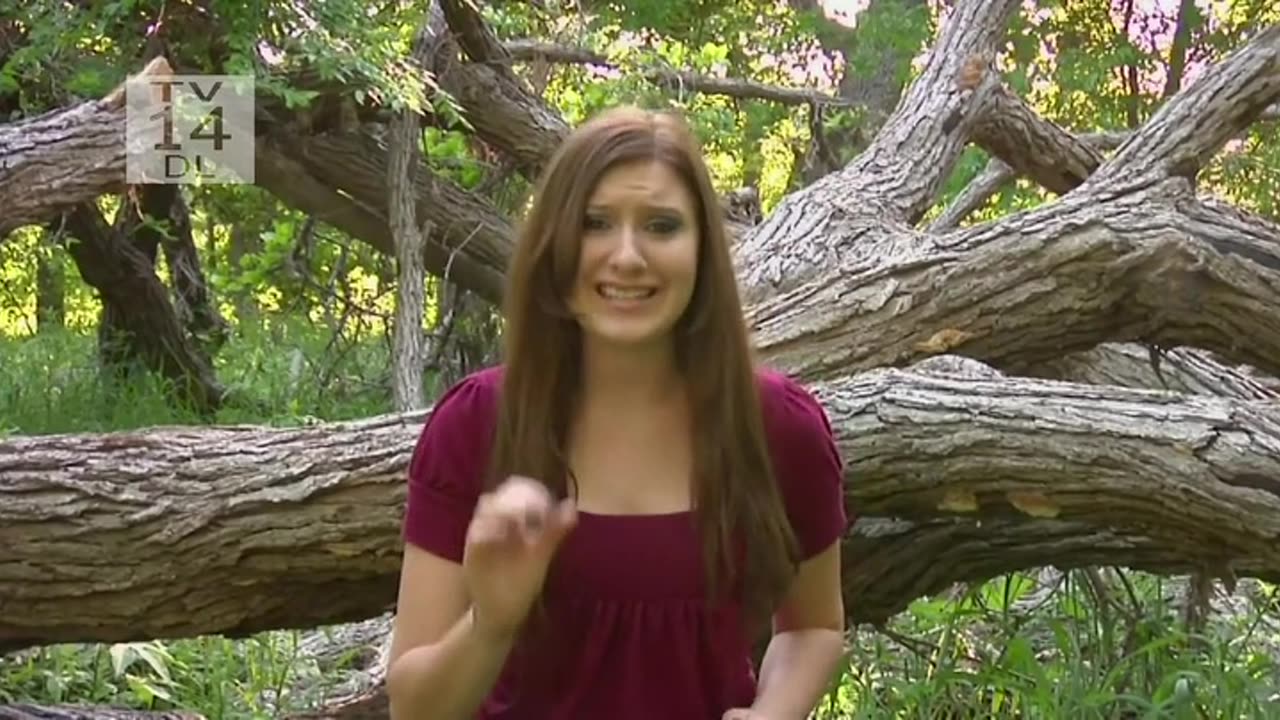 Tosh.0 - [05x07] - The Illusion (CeWEBrity Profile)