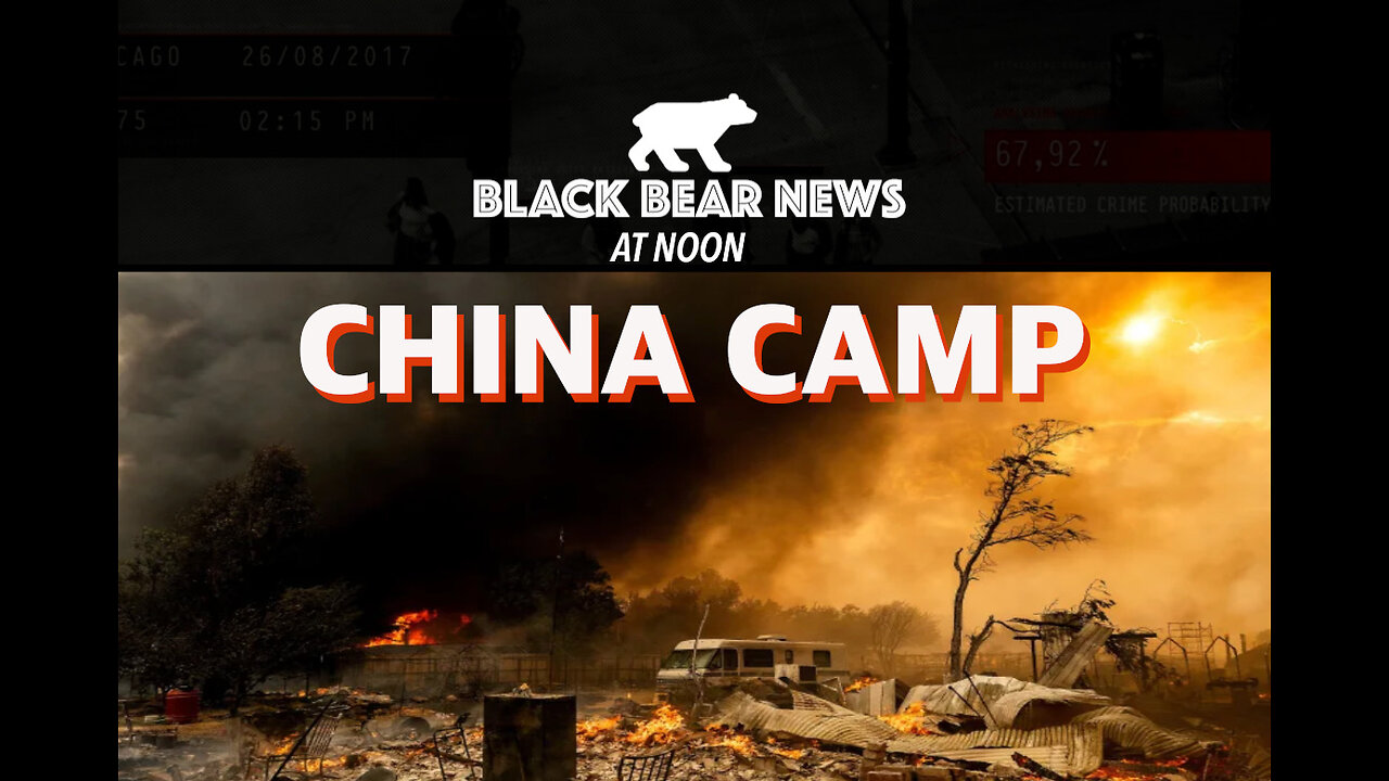 China Camp | Epstein Files | Two Tier Economy