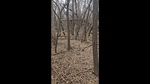 My Peaceful Place Woodland Church Edition - Prayer Request