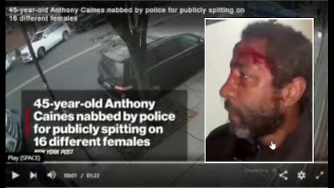 Let's Talk Black Crime 63 - More black Attacks. What else Is New