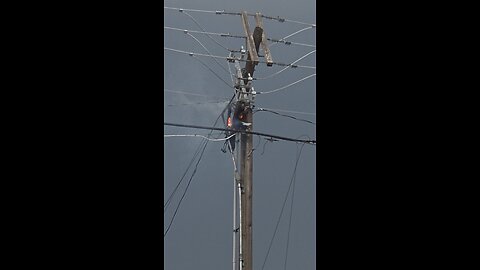 Lightning Strikes Power Pole! Whole Block Goes Dark! #usa #dangerous #nature #life