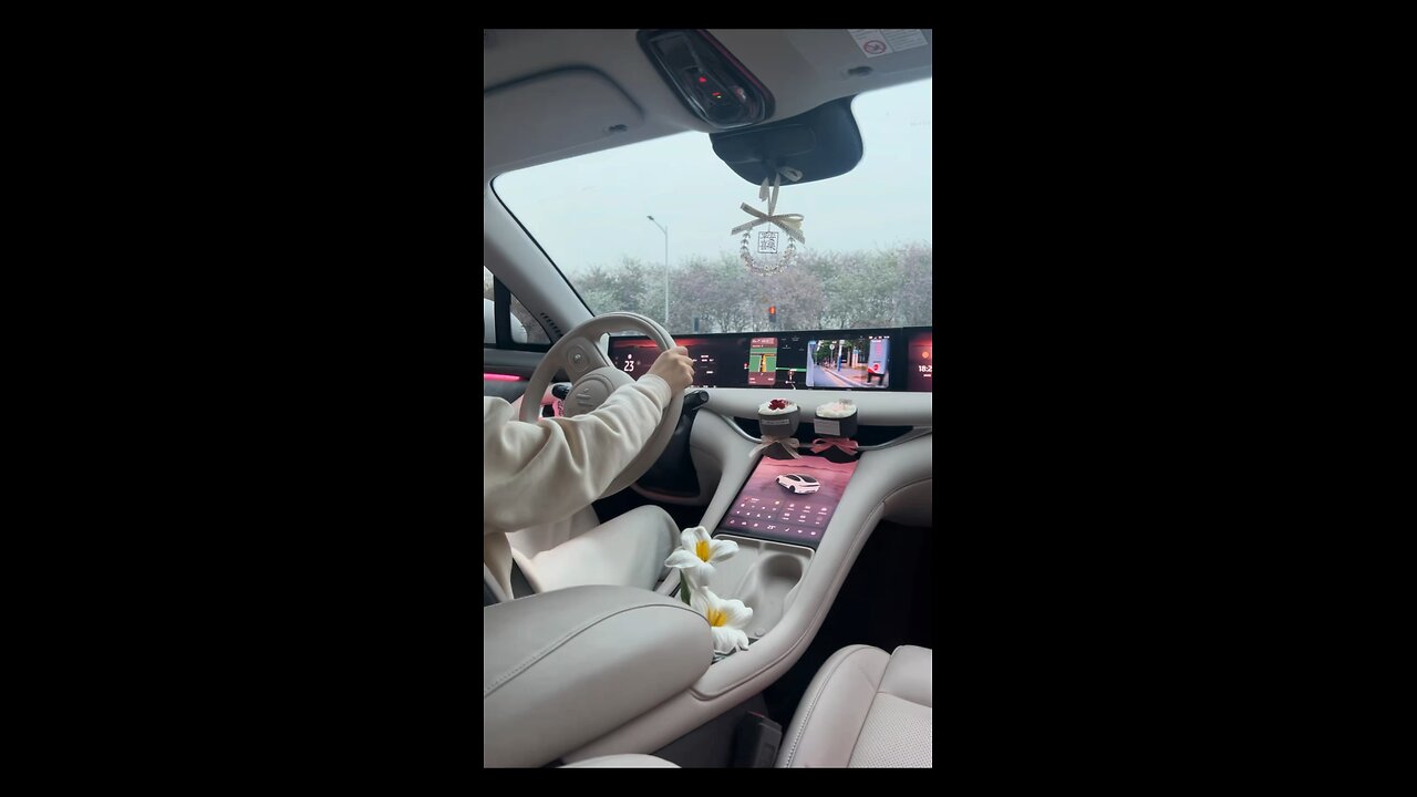 Car driver video view’s