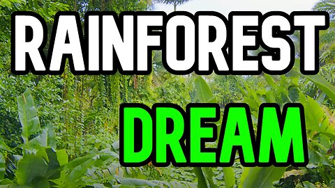 RAINFOREST BOY DREAMING (SHORT FILM)