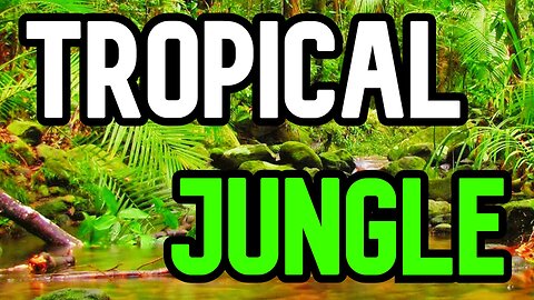 RAINFOREST IS LOVE (SHORT FILM)