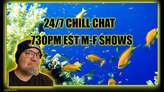 24x7 Chill Stream. Live Shows 730pm est M-F