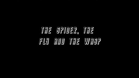 The Spider and the Fly