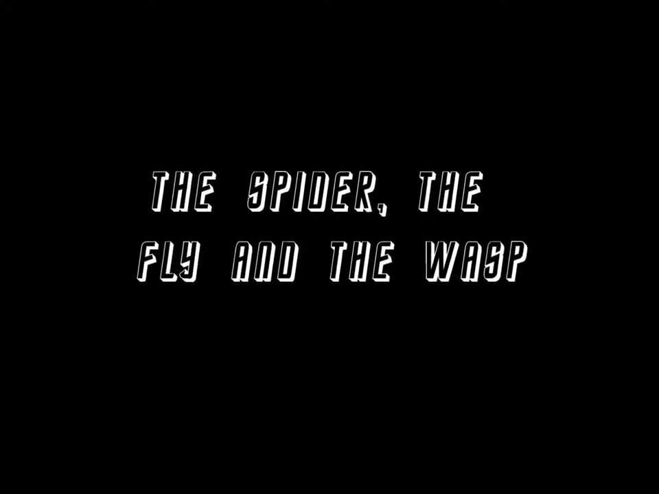 The Spider and the Fly