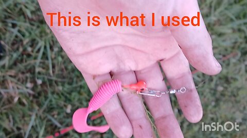 fishing