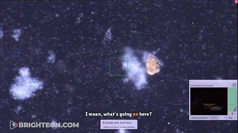 REAL NANOTECHNOLOGY UNDER MICROSCOSCOPY