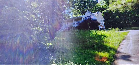 Professional Lawn Maintenance